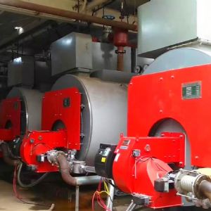 低氮冷凝式燃油(气)蒸汽/热水锅炉